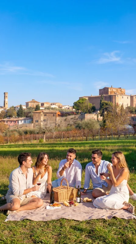 Picnic panoramico in collina con vista sul borgo storico di Santarcangelo di Romagna e vigneti