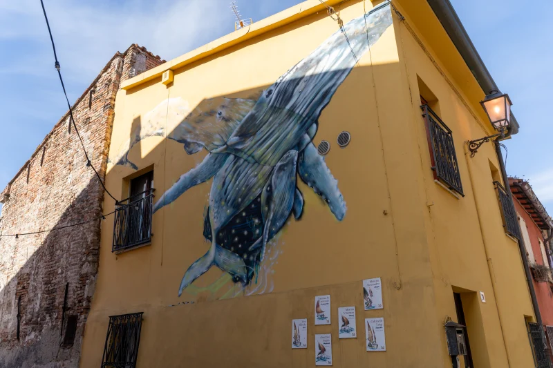Murales di balene e omaggio alla marineria nel Borgo San Giuliano di Rimini
