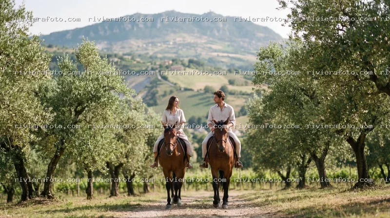 Passeggiata a cavallo tra ulivi e vigneti nell’entroterra Romagnolo, vicino a Rimini