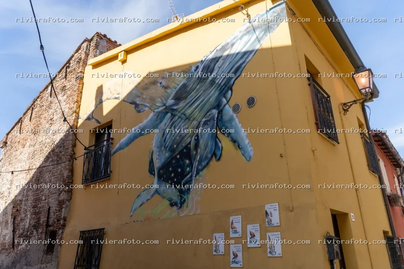 Murales di balene e omaggio alla marineria nel Borgo San Giuliano di Rimini
