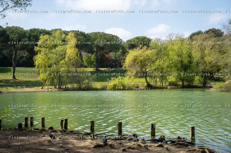 Lago e natura in un parco di Rimini nella Riviera Romagnola