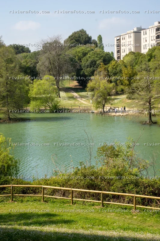 Scorcio primaverile di un parco urbano con lago a Rimini, in Riviera Romagnola