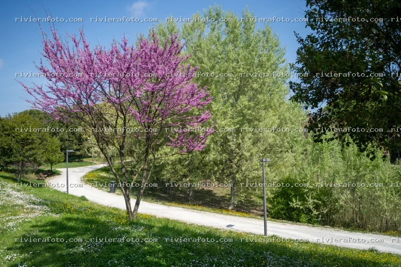 Paesaggio primaverile in un parco di Rimini nella Riviera Romagnola