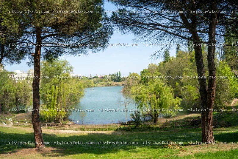 Scorcio naturalistico in un Parco di Rimini, nella Riviera Romagnola