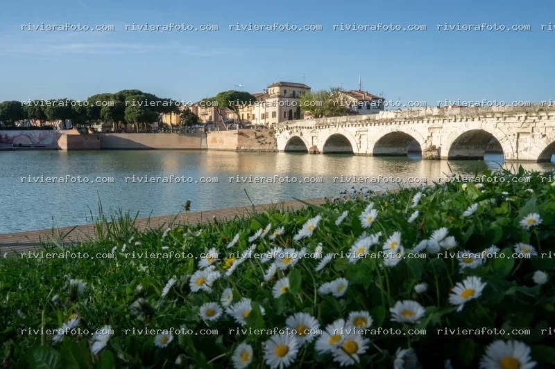 Ponte di Tiberio a Rimini con prato fiorito
