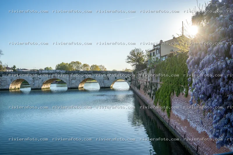 Ponte di Tiberio a Rimini con Wisteria in fiore