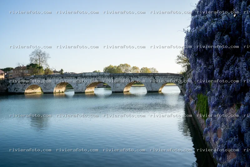 Ponte di Tiberio a Rimini con Glicine in Fiore