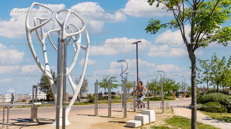 Lungomare di Rimini: Scultura Moderna e Attività all’Aperto