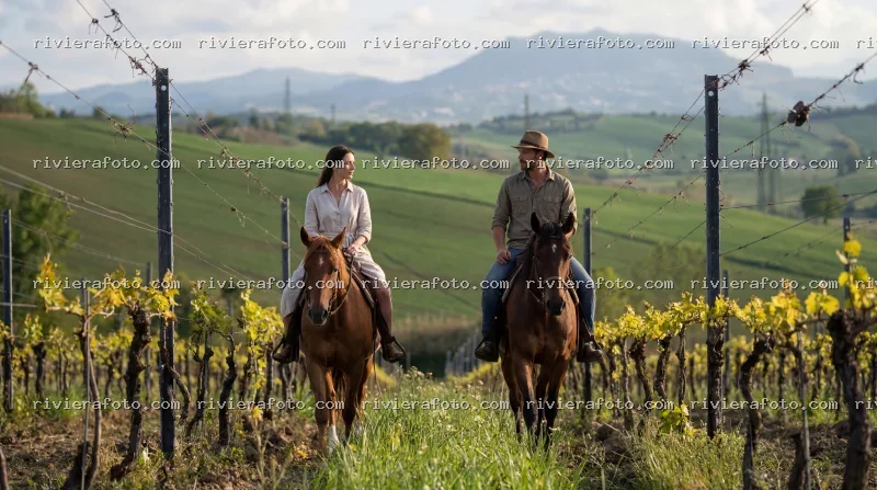 Passeggiata a Cavallo tra i Vigneti dell’Entroterra Romagnolo