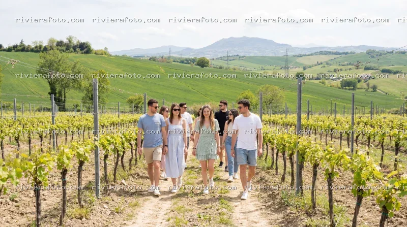 Passeggiata tra i vigneti dell’entroterra Romagnolo
