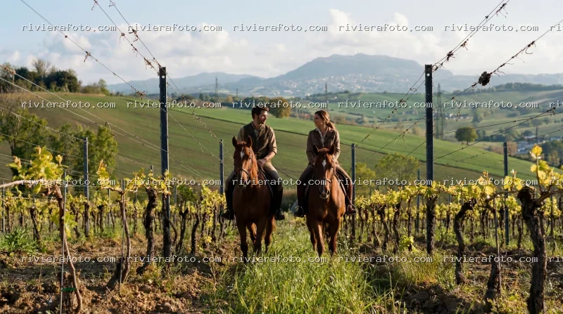 Passeggiata a cavallo tra i vigneti della Romagna